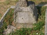 image number TNWELLRD 334